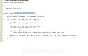 programacion en java: suma datos diagonal secundaria