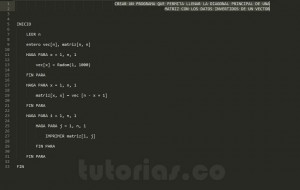 programacion en pseudocodigo: diagonal principal datos invertidos vector