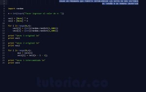 programacion en python: intercambio vector forma invertida