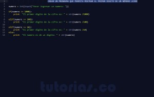 programacion en python: hallar el primer digito