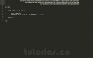 programacion en pseudocodigo: salario neto