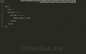 programacion en pseudocodigo: datos en forma de matriz