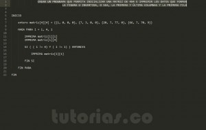 programacion en pseudocodigo: imprimir datos figura u invertida