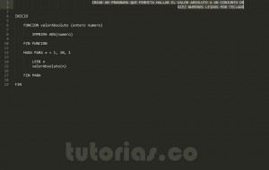 programacion en pseudocodigo: funcion valor absoluto
