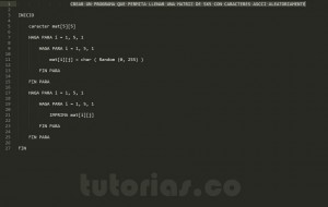 programacion en pseudocodigo: matriz con caracteres ascii