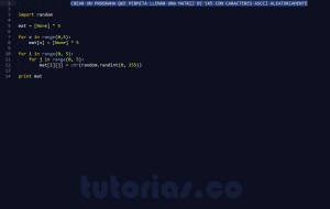 programacion en python: matriz caracteres ascii