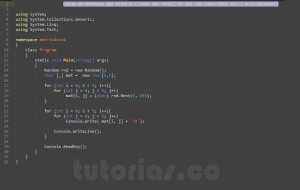 programacion en c#: matriz de caracteres ascii