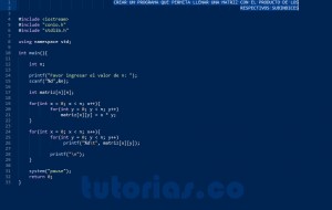programacion en turbo C: matriz producto subindices