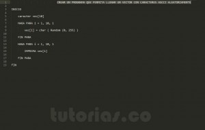 programacion en pseudocodigo: vector de caracteres ascii