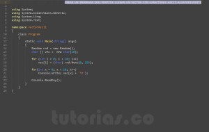 programacion en c#: vector de caracteres ascii