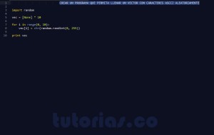 programacion en python: vector con caracteres ascii