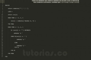 programcoin en pseudocodigo: vector clave