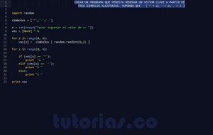 programacion en python: vector clave