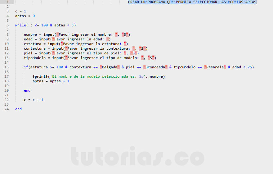 ciclo while – matLab (la modelo elegida)