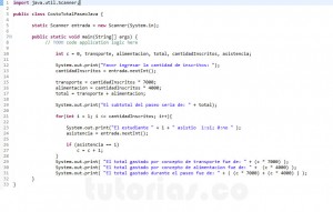 programacion en java: costo total paseo