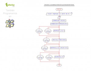 diagrama de flujo:  diagonal principal datos invertidos