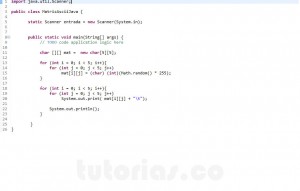programacion en java: matriz ascii