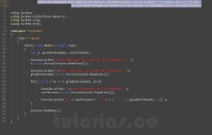 programacion en c#: mostrar la representacion de un polinomio