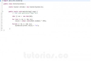 programacion en java: vector ascii