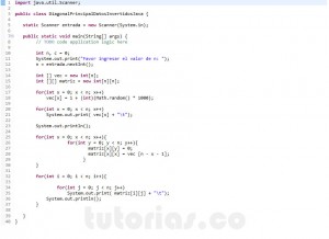 programacion en java: diagonal pricnipal datos invertidos