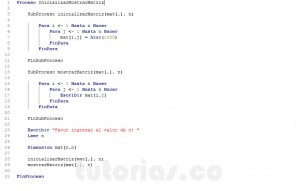 programacion en pseint: funcion inicializar mostrar matriz