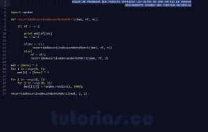 programacion en python: recorrido recursivo descendente matriz