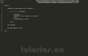 programacion en pseudocodigo: ciclo while recursivo