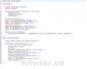 programacion en java: clase Animal