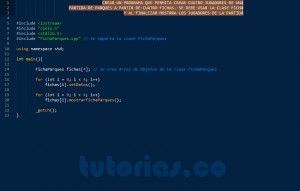 programacion en C++: aplicacion clase Ficha