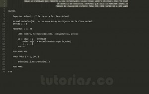 programacion en pseudocodigo: aplicacion clase Animal