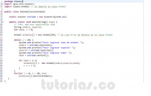 programacion en java: aplicacion clase Animal