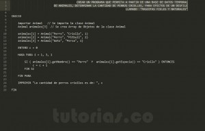 programacion en pseudocodigo: clase consulta Animal