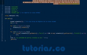 programacion en C++: clase consulta Animal