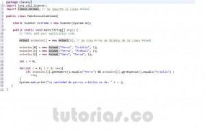 programacion en java: clase consulta Animal