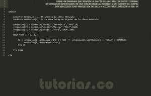 programacion en pseudocodigo: clase consulta Vehiculo