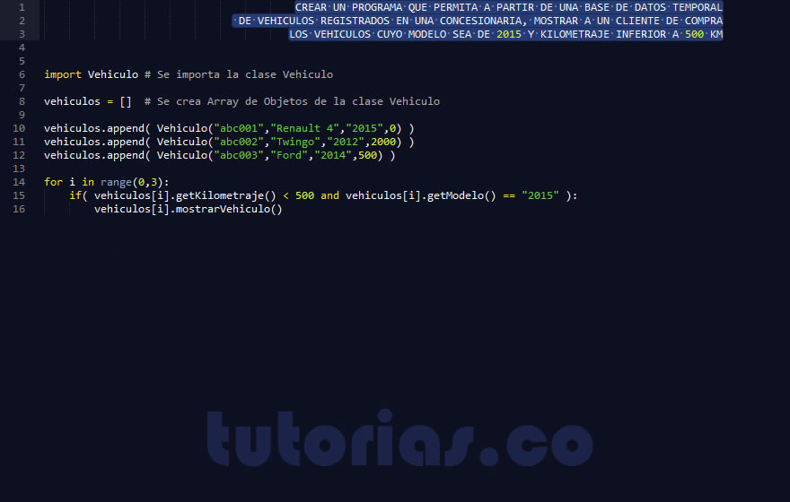 POO + python  (clase consulta Vehiculo)