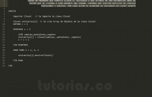 programacion en pseudocodigo: clase aplicacion closet