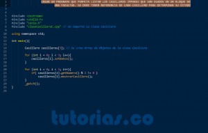 programacion en C++: consulta clase Casillero
