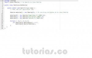 programacion en java: consulta clase Materia