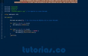 programacion en C++: consulta clase Mercado