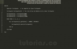 programacion en pseudocodigo: consulta clase Torniquete