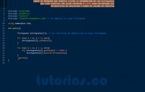 programacion en C++: consulta clase Torniquete