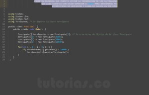 programacion en c#: consulta clase Torniquete