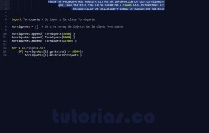 programacion en python: consulta clase Torniquete
