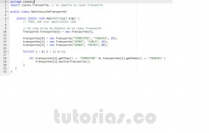 programacion en java: consulta clase Transporte