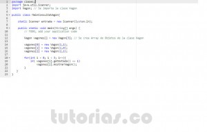 programacion en java: consulta clase Vagon