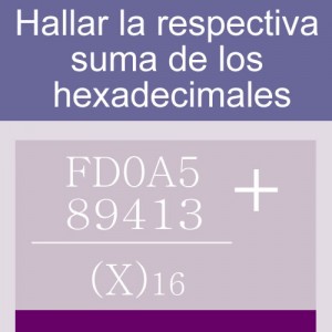 sistemas numericos: suma de hexadecimales 5 digitos en dos hileras