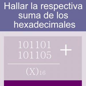 sistemas numericos: suma de hexadecimales 6 digitos en dos hileras