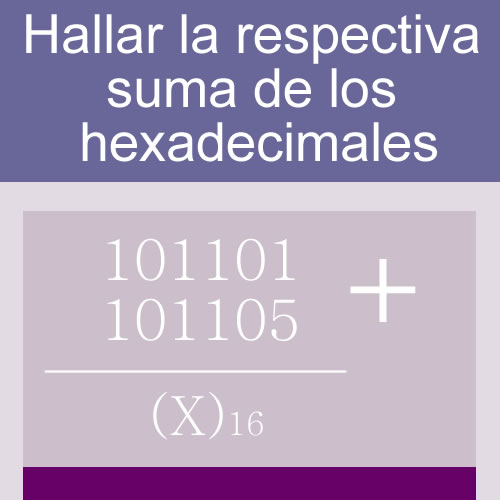 sistemas numericos + suma de bases (hexadecimales: 6 digitos en dos hileras)