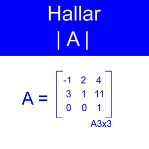 algebra lineal: calculo determinantes orden 4x4 cofactores con mayor ceros